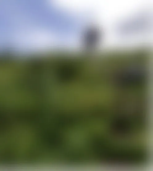 b******9