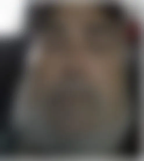 c*******1