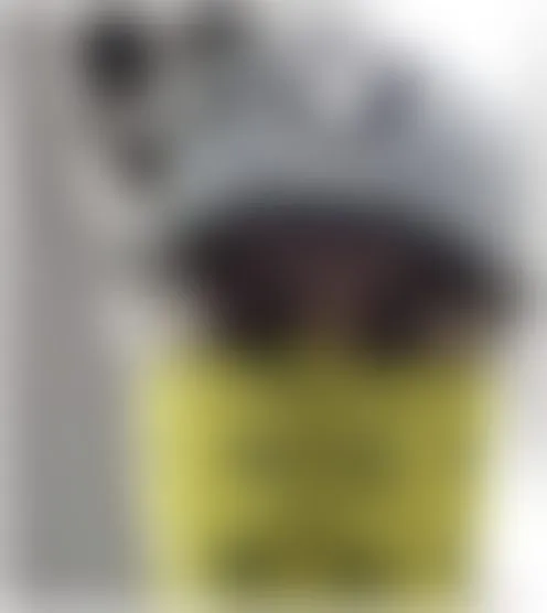 l***a