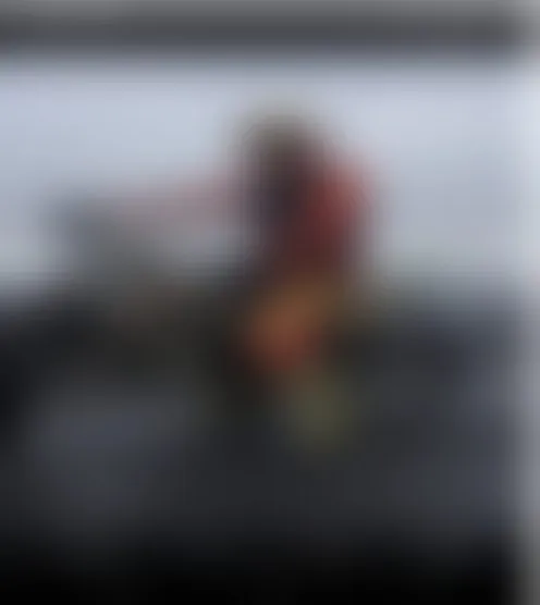 U**********c