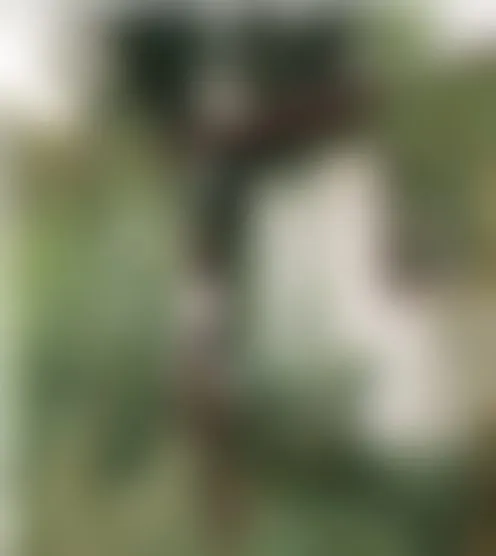 a******t