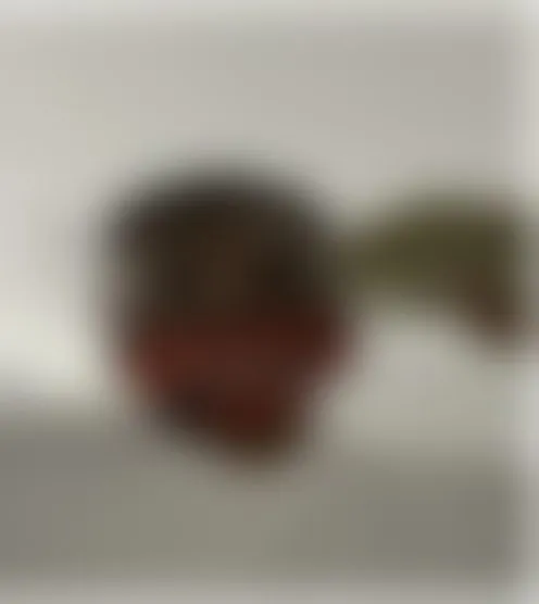 T******6
