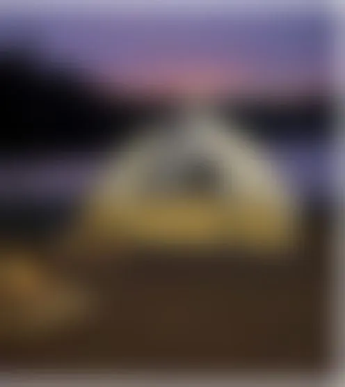 g****1