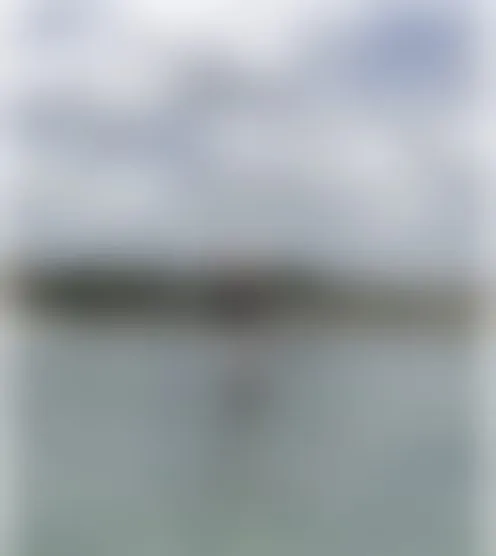 H**y