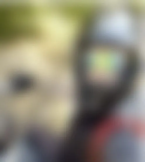 T******6