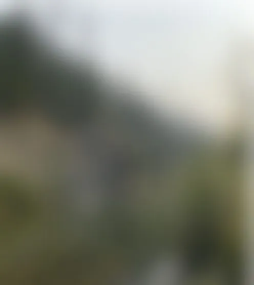 B****8