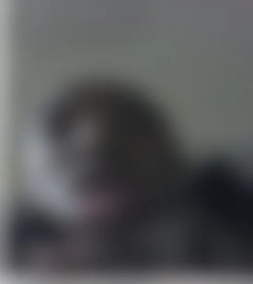 T***********0