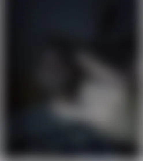 l******x