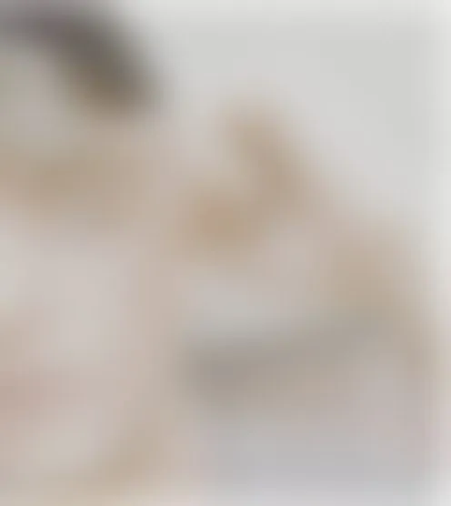 i**********i