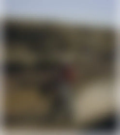 G*******e
