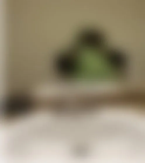 T**i