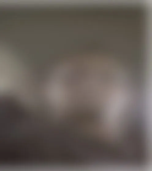 N********o