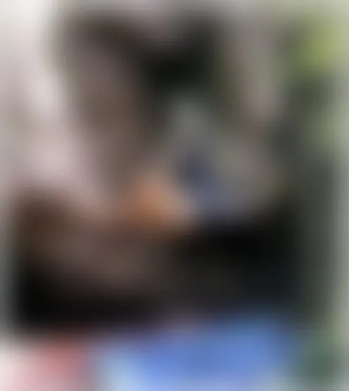 E******n