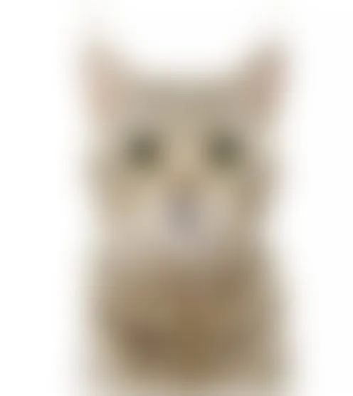 x*****E