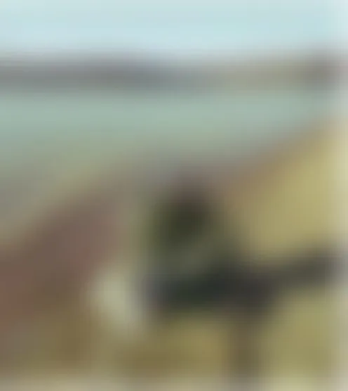 z******8