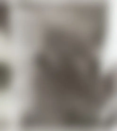 C***e