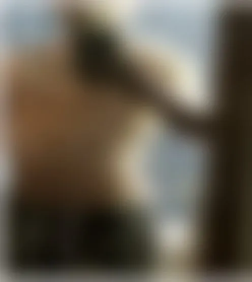 m*p