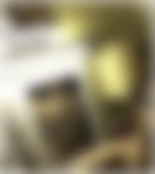 S*******i