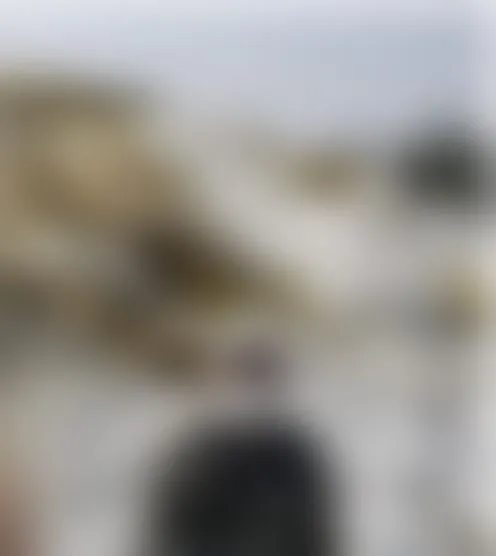 B**U