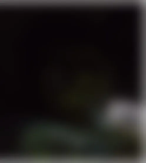 N*********0