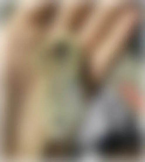 J*****e
