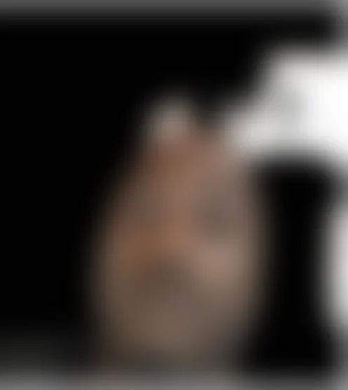 C***********0