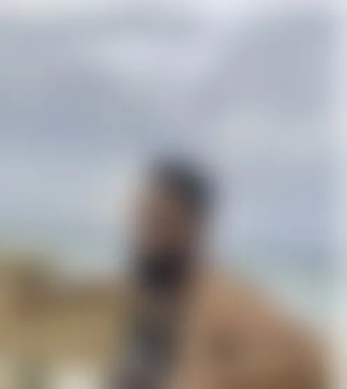 C******3