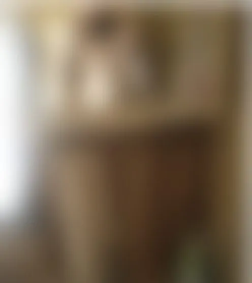 T******e