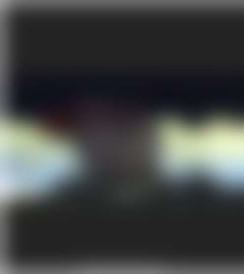 S***e