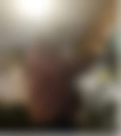 I******1