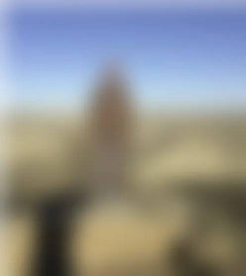 d***g