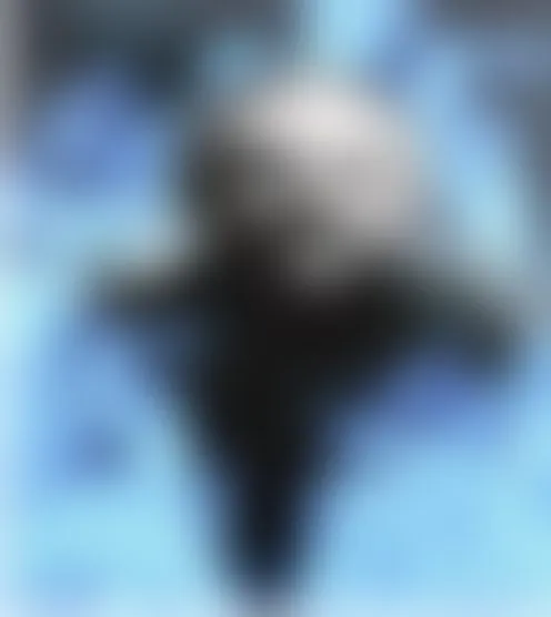 2********u