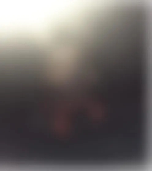 A***s