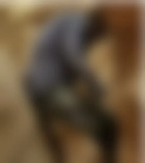 D*****3