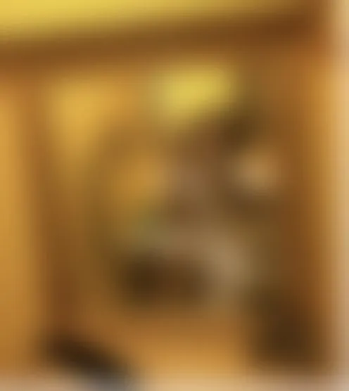 s**********9