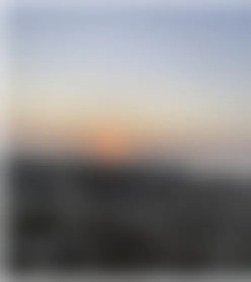 E**y