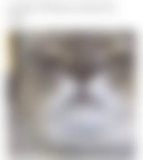 c*******r