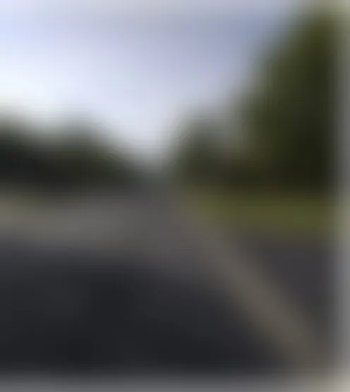 B******1
