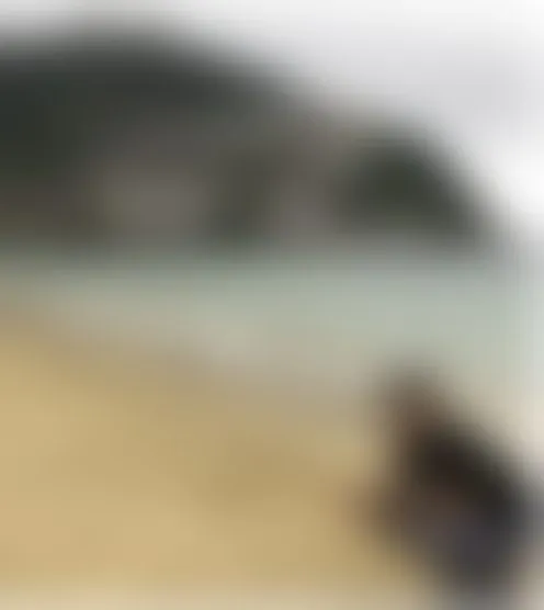 m***e