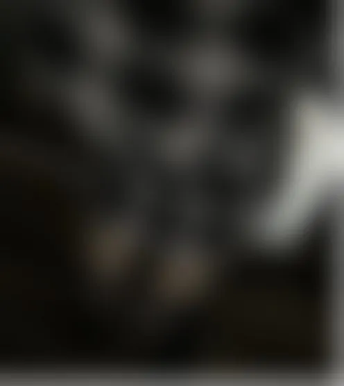 d*****2