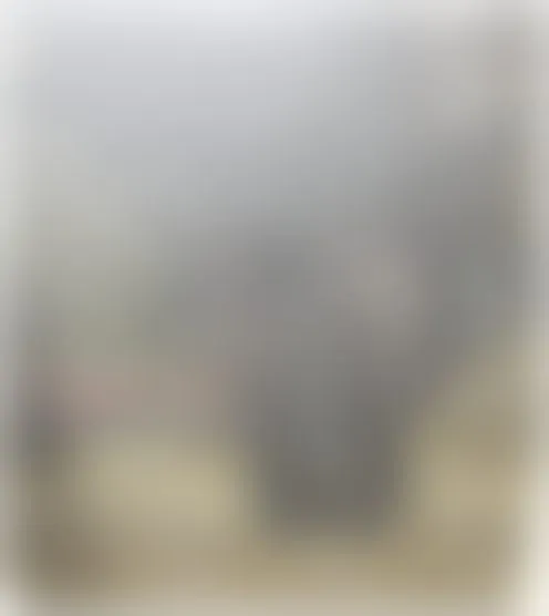 A**o