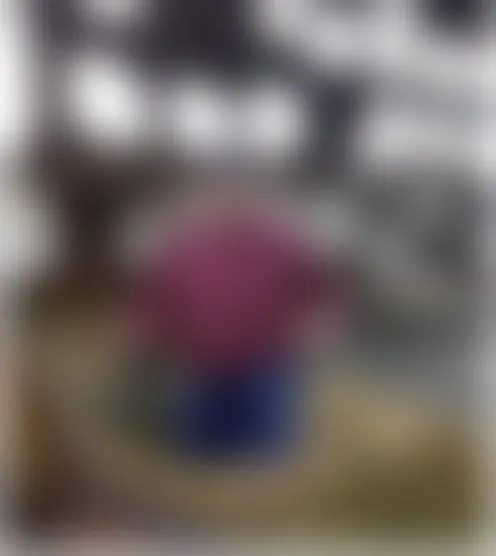 P******0