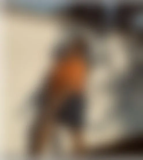S**S