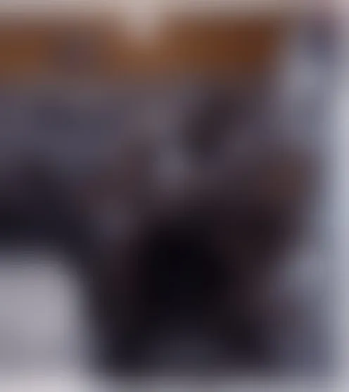 A******3