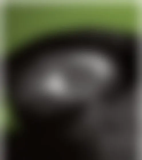 S********1