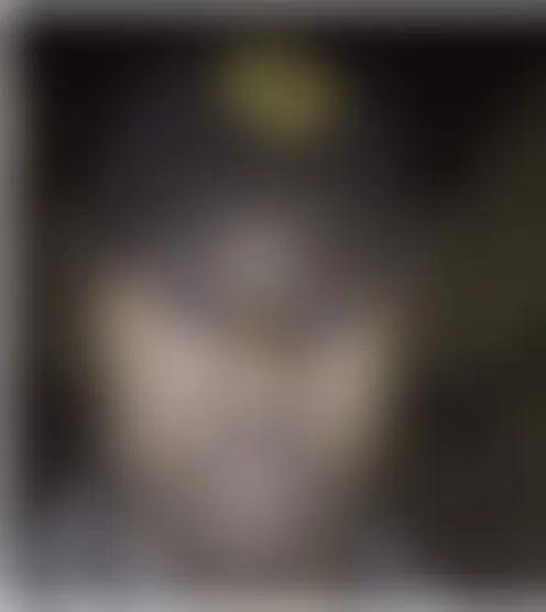 A**********a