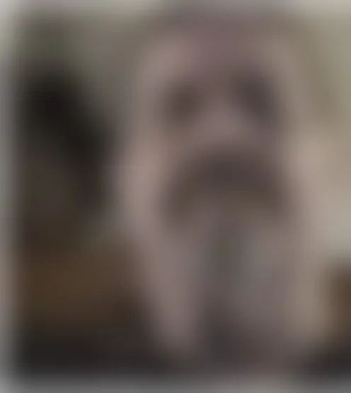 p************i