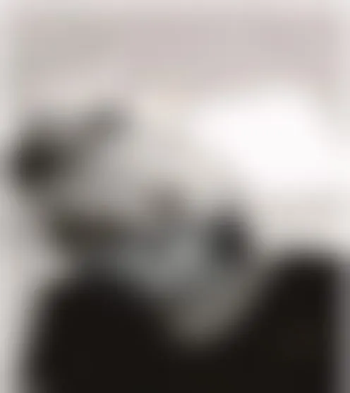 e******6
