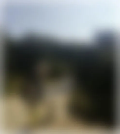 o***********7