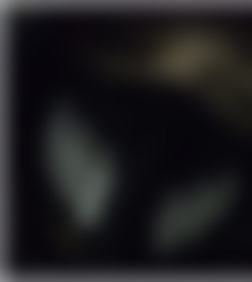 R***********2